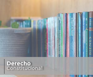 Asesoría en Derecho Constitucional Abogados en Colombia